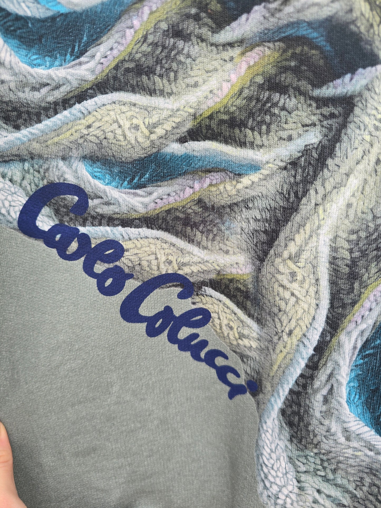 (88) Carlo Colucci Hoodie blau 3d muster M-L