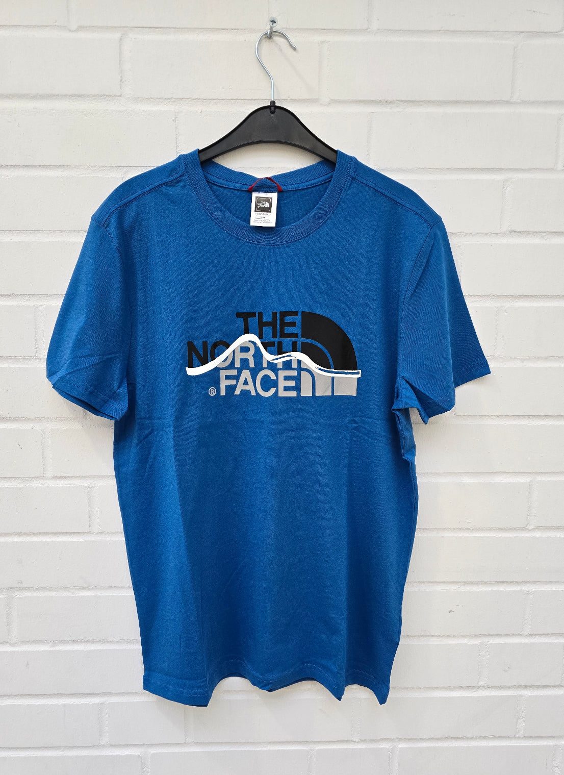 (114) THE NORTH FACE Tshirt blau