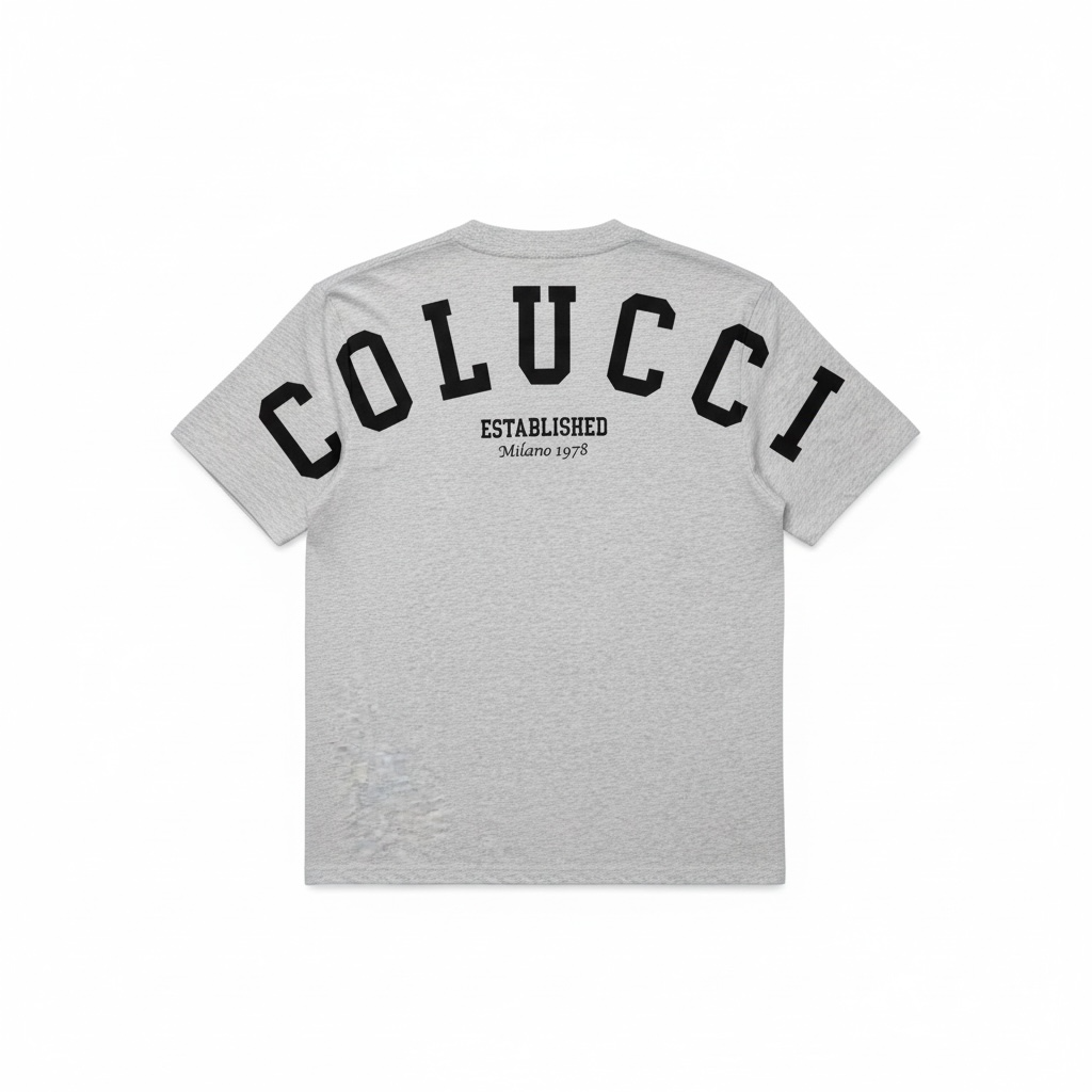 Carlo Colucci Tshirt Organic premium Cotton grau Unisex Comfort Fit (54)