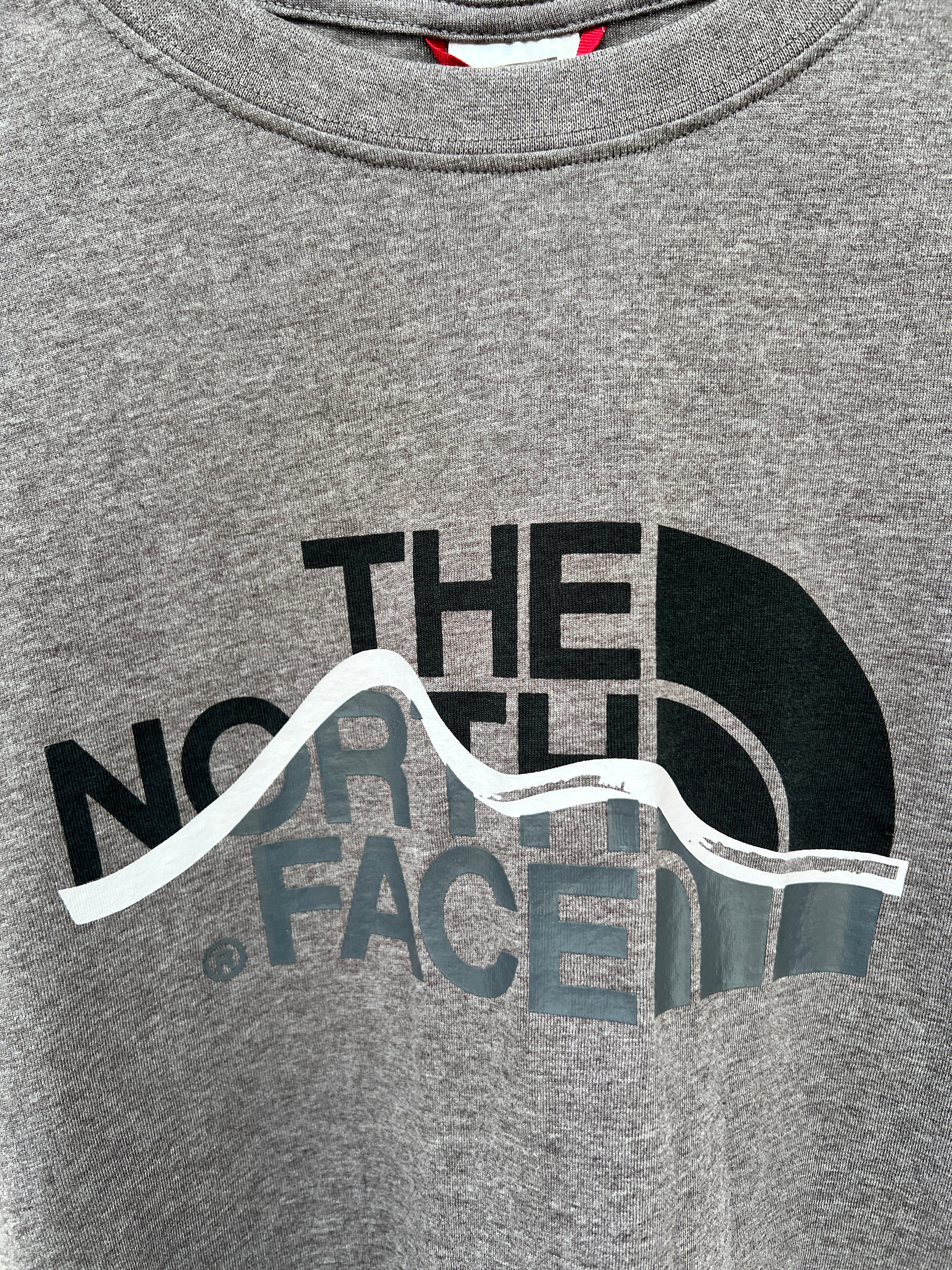 (29) THE NORTH FACE Tshirt dunkelgrau
