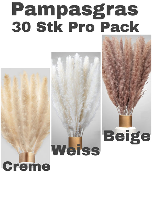 Pampasgras 100% Natürlich 30stk pro Pack 70cm