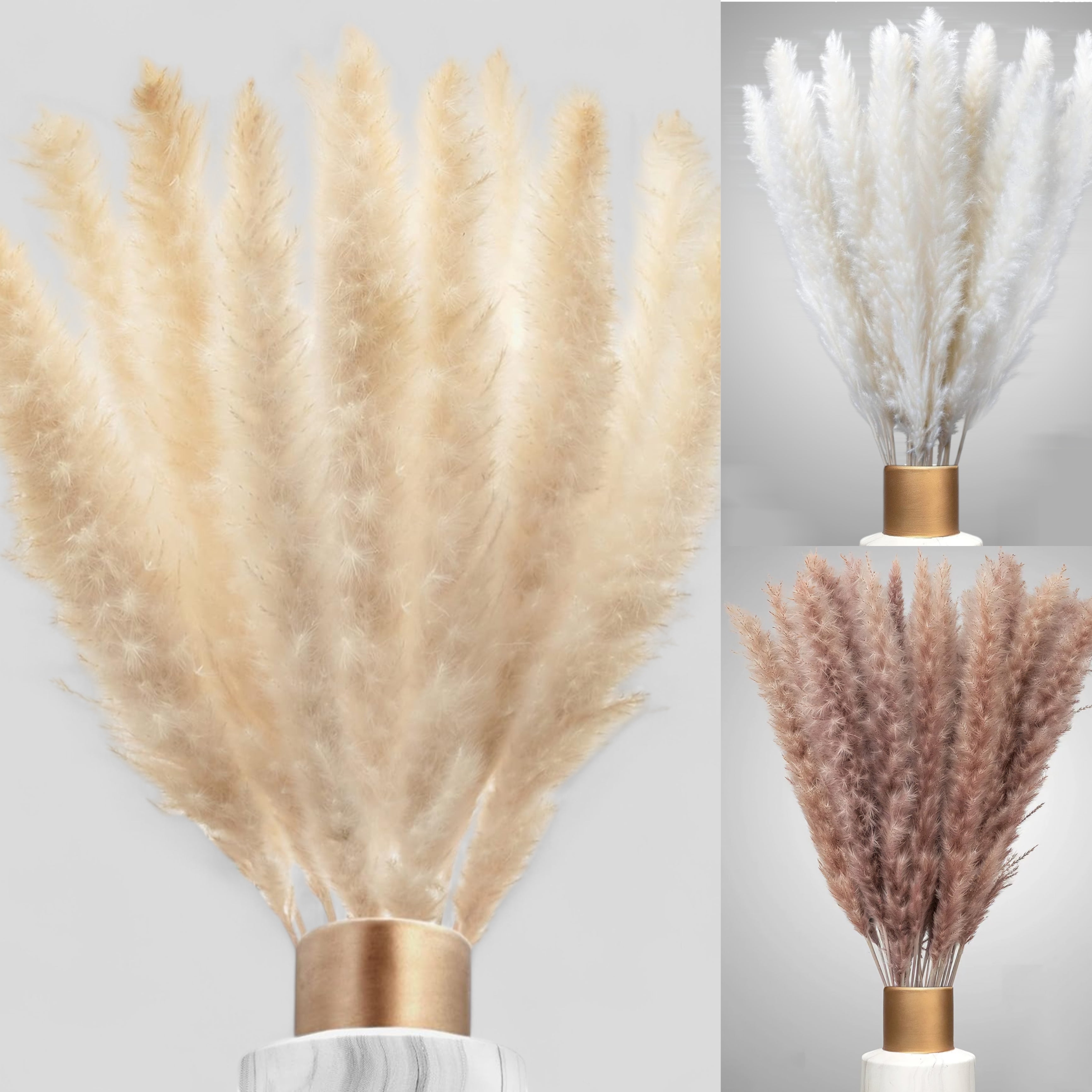 XXL SET Pampasgras 3er Set 90stk 70cm