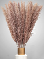 XXL SET Pampasgras 3er Set 90stk 70cm