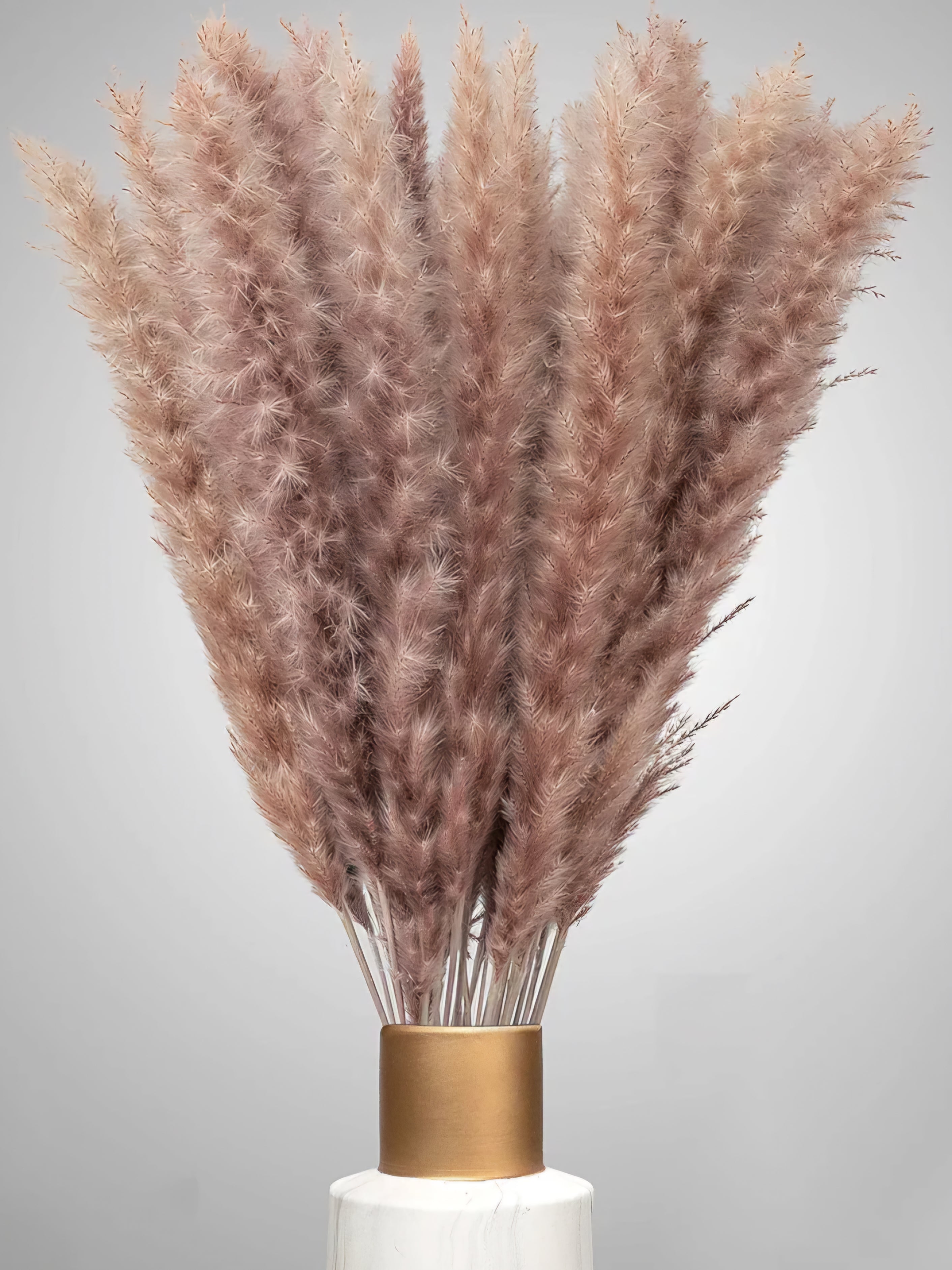 XXL SET Pampasgras 3er Set 90stk 70cm