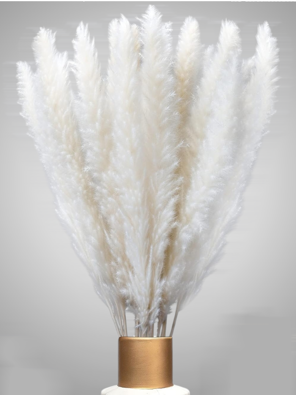 XXL SET Pampasgras 3er Set 90stk 70cm